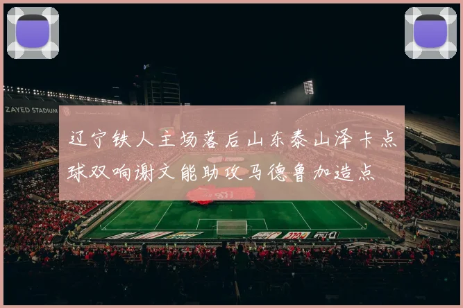 辽宁铁人主场落后山东泰山泽卡点球双响谢文能助攻马德鲁加造点
